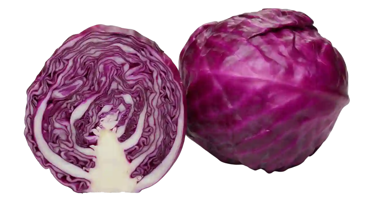 Rotkohl erfolgreich anbauen und ernten
