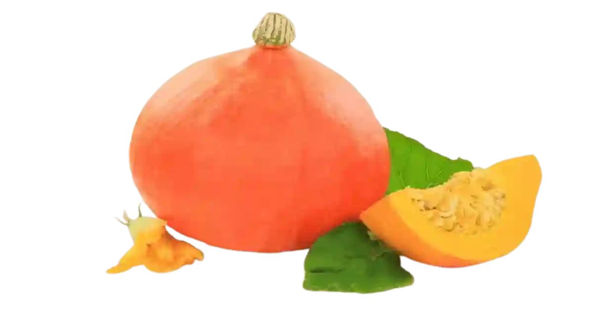Kürbis