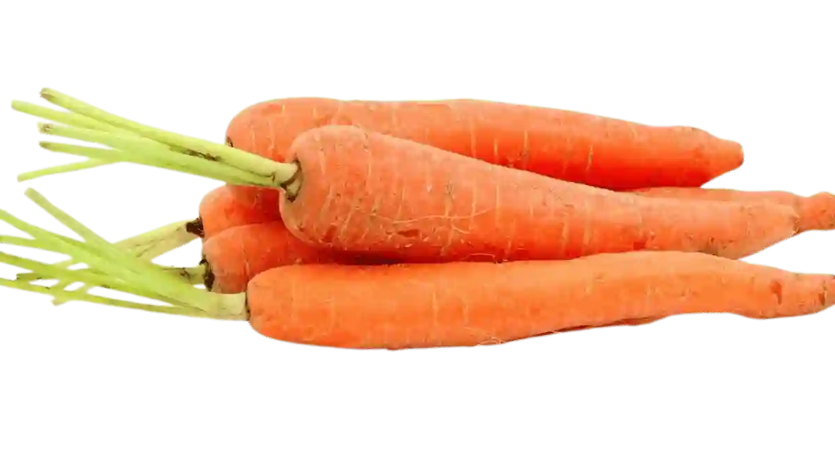 Möhre