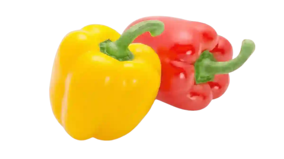 Paprika