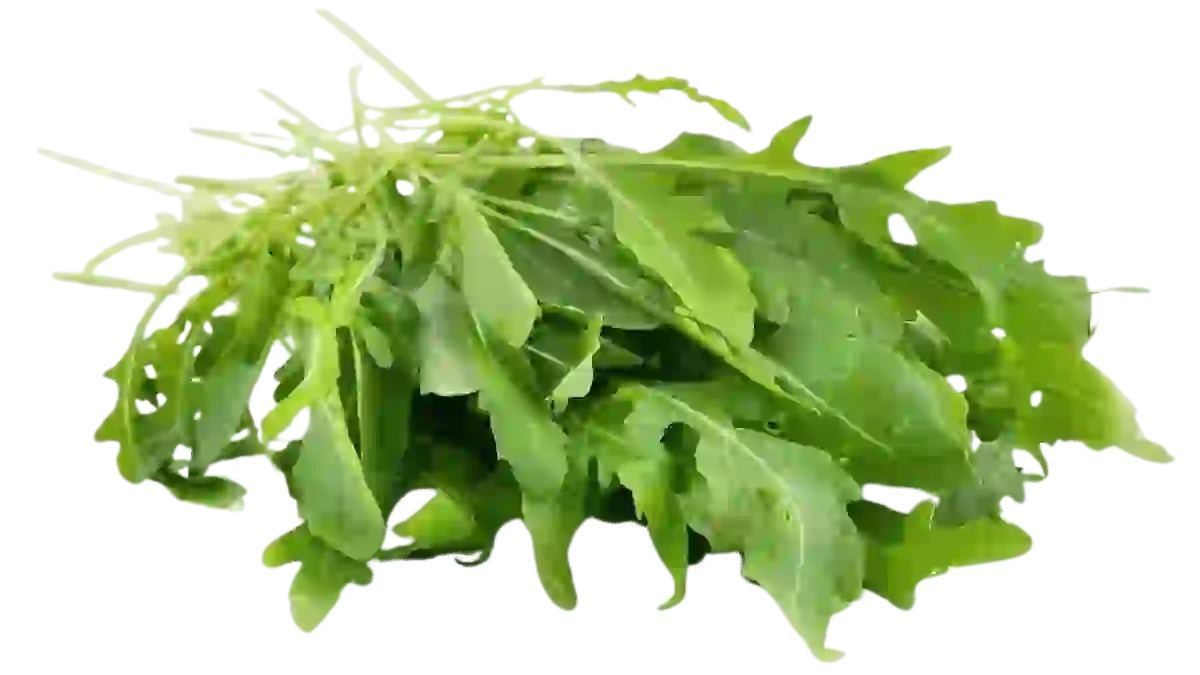 Rucola anbauen: So gelingt dein würziger Salat