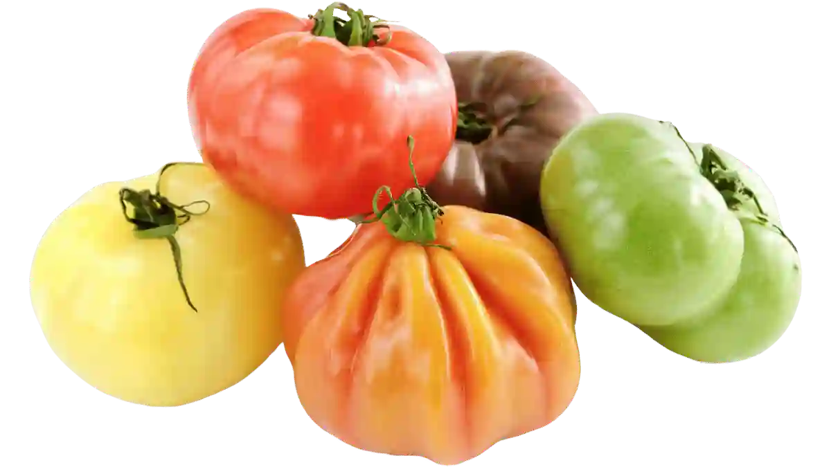 Tomate