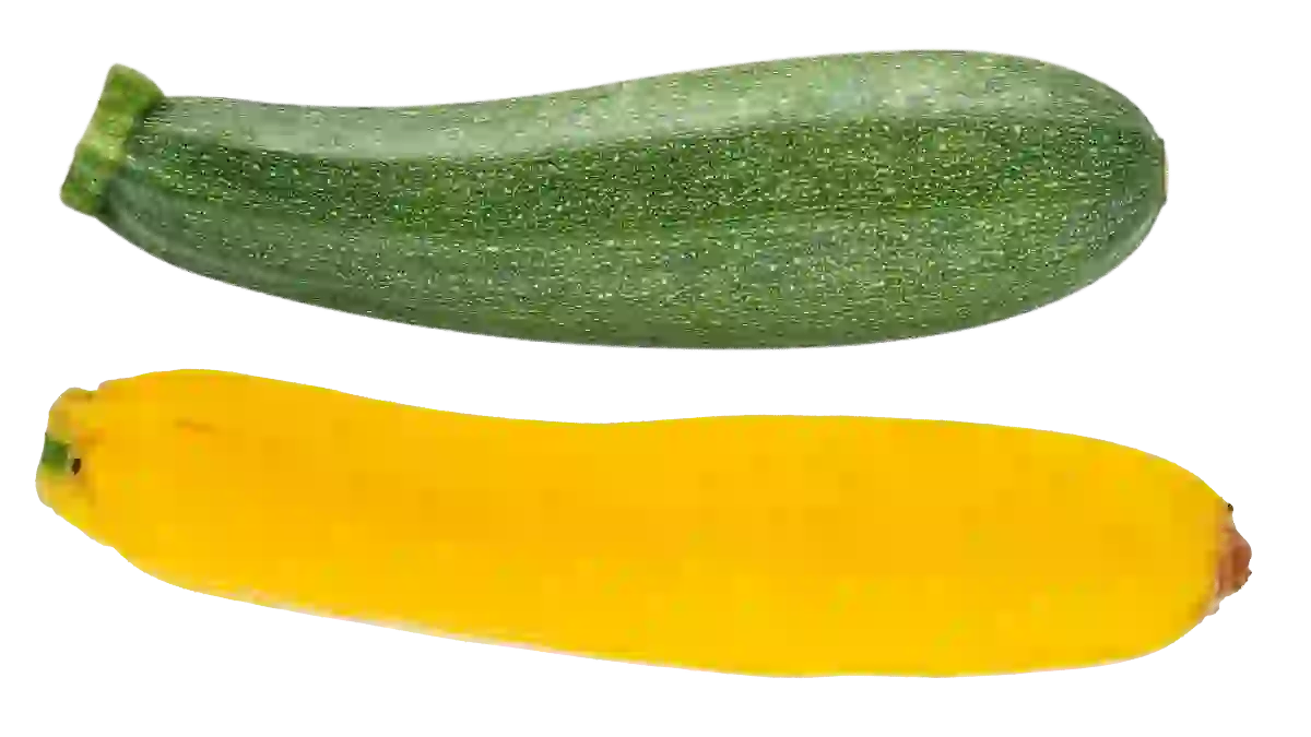 Zucchini