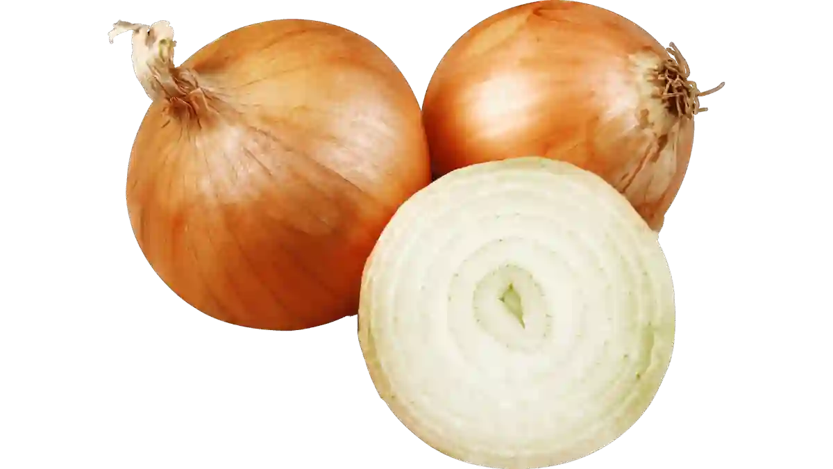 Die Zwiebel: So gelingt dir die Ernte im Beet