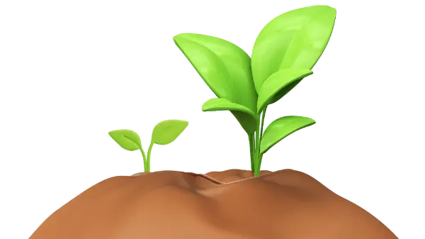 Automatische Fruchtfolge